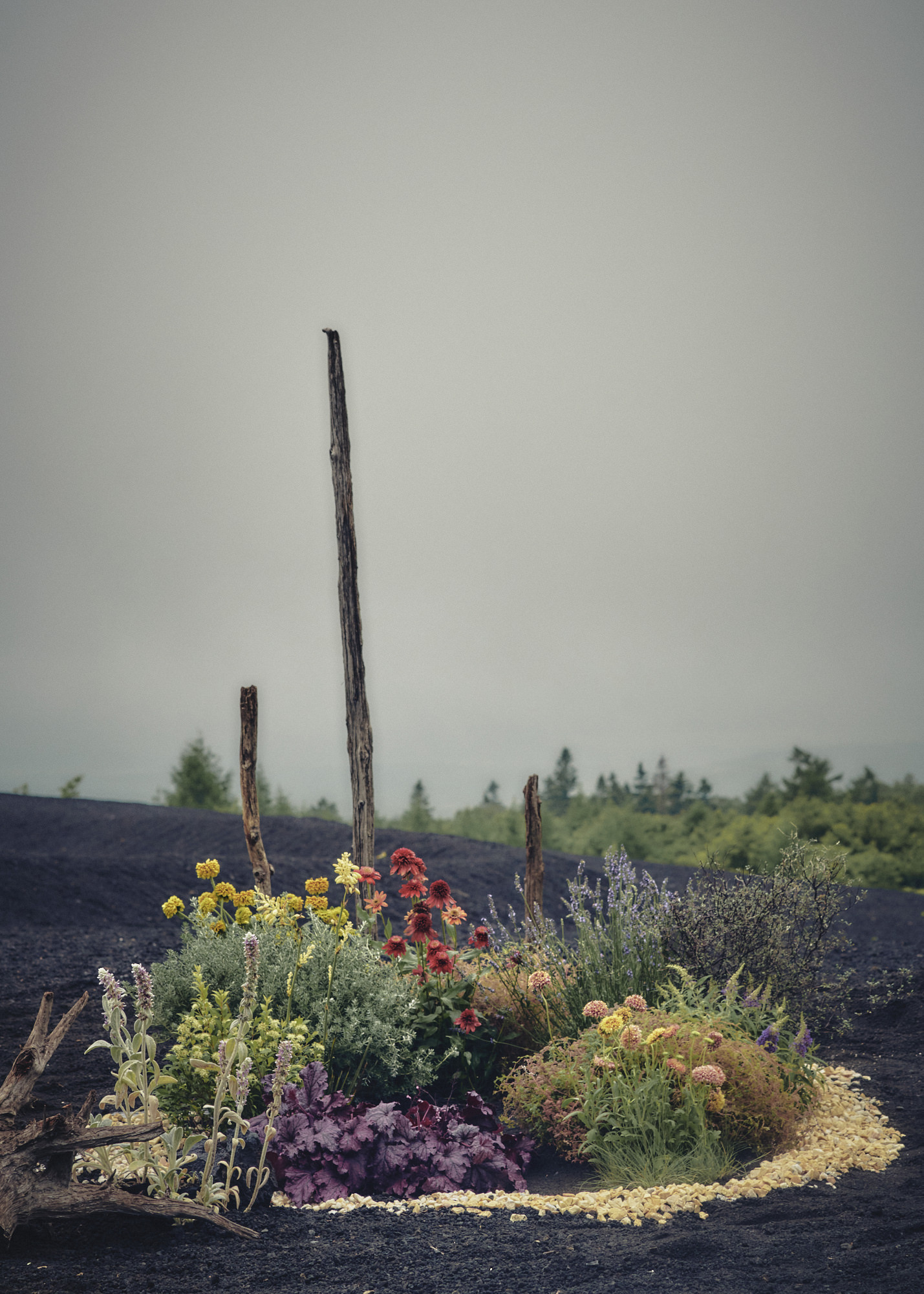 yuta_matsuoka_2026ss